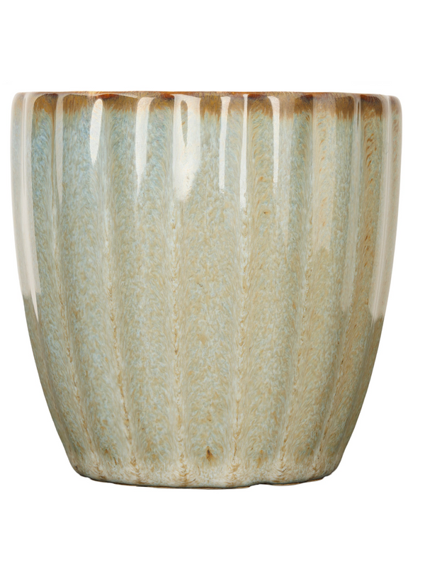 Senseo Mugs