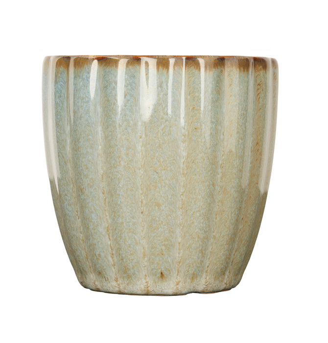 Senseo Cups