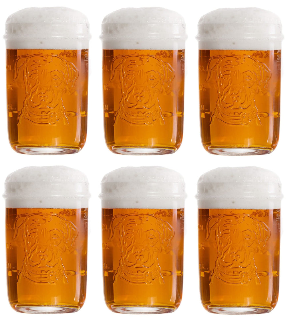 Lagunitas Beer glasses - 300 ml - 6 pieces