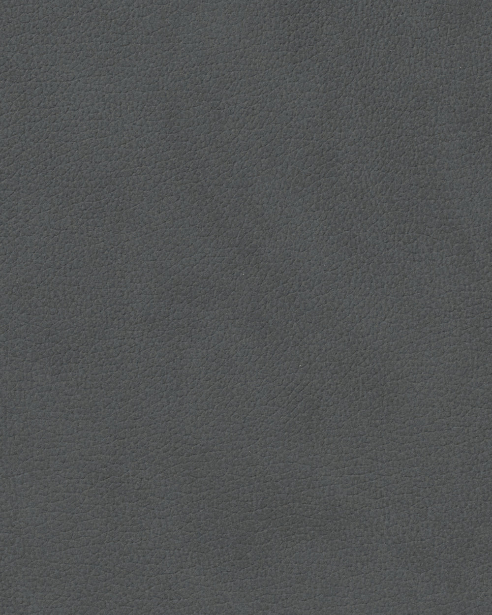 LIND DNA Placemats Nupo - Leather - Anthracite - Curved - 44 x 37 cm - 2 Pieces