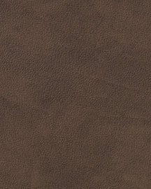 LIND DNA Placemats Nupo - Leather - Dark Brown - Curved - 44 x 37 cm - 2 pieces
