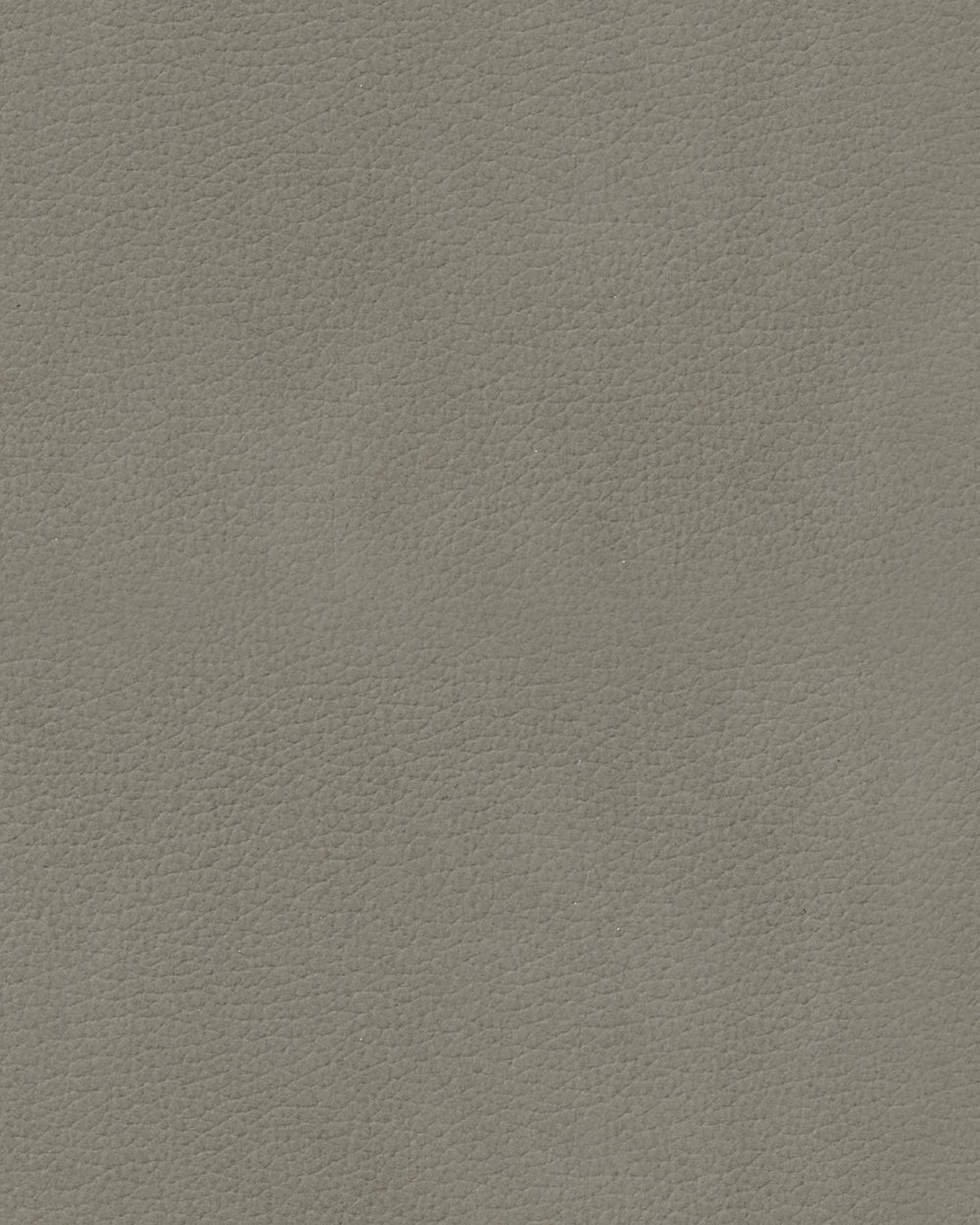LIND DNA Placemats Nupo - Leather - Flint Grey - 45 x 35 cm - 2 pieces