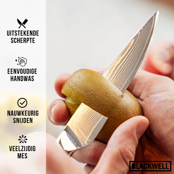 Blackwell Knife Set (Chef's knife + office knive) - Japanese style - 67 layers damask steel - VG10 - 2-piece