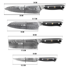 Blackwell Knife Set Damascus - Japanese style - 67 layers damask steel - VG10 - 4-piece