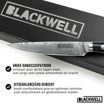 Blackwell Knife Set (Chef's knife + vegetable knife + office knive) ) - Japanese style - 67 layers damask steel - VG10 - 3 piece