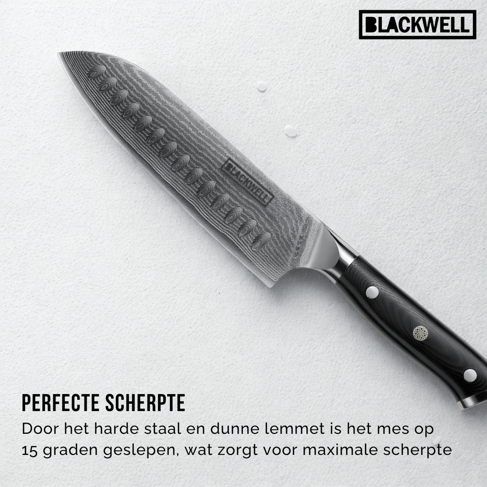 Blackwell Knife Set Damascus - Japanese style - 67 layers damask steel - VG10 - 4-piece