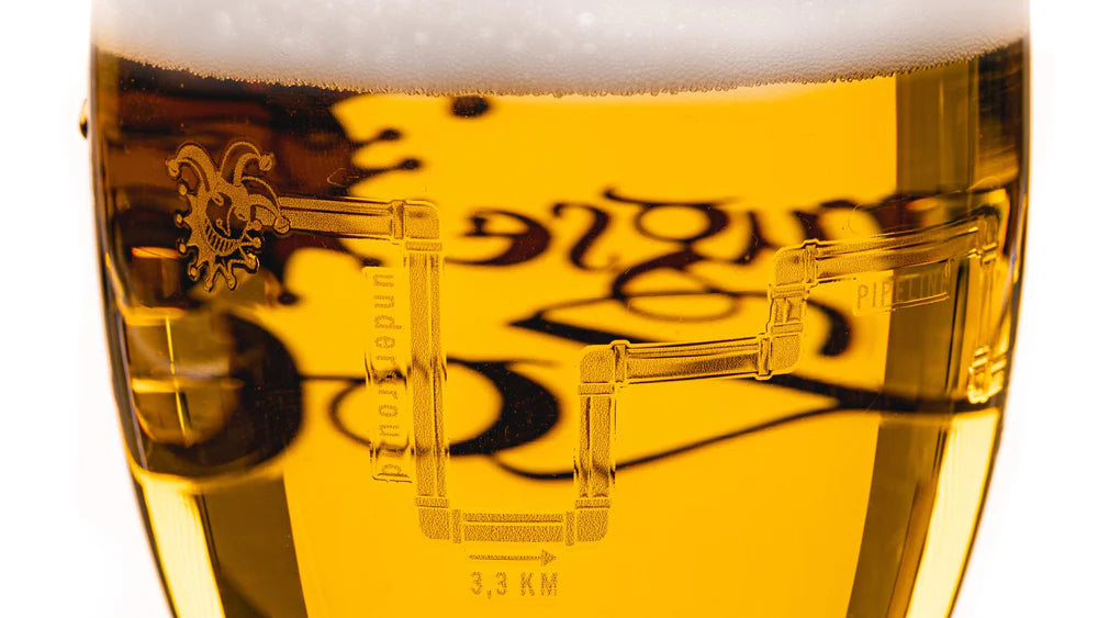 Brugse Zot Beer Glasses 330 ml - 2 pieces