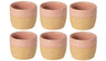 Costa Nova Tazas de Café Arenito Mauve Rose 200 ml - 6 piezas