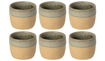 Costa Nova Tazas de Café Arenito Sage Green 200 ml - 6 unidades
