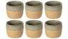 Costa Nova Tazas de Café Arenito Sage Green 200 ml - 6 unidades