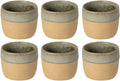 Costa Nova Tazas Arenito Sage Green 360 ml - 6 piezas