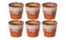 Costa Nova Espresso Cups Casafina Poterie Caramel-Latte 80 ml - Set of 6