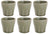 Cosy & Trendy Espresso Cups Bistro Thyme Green 90 ml - 6 pieces