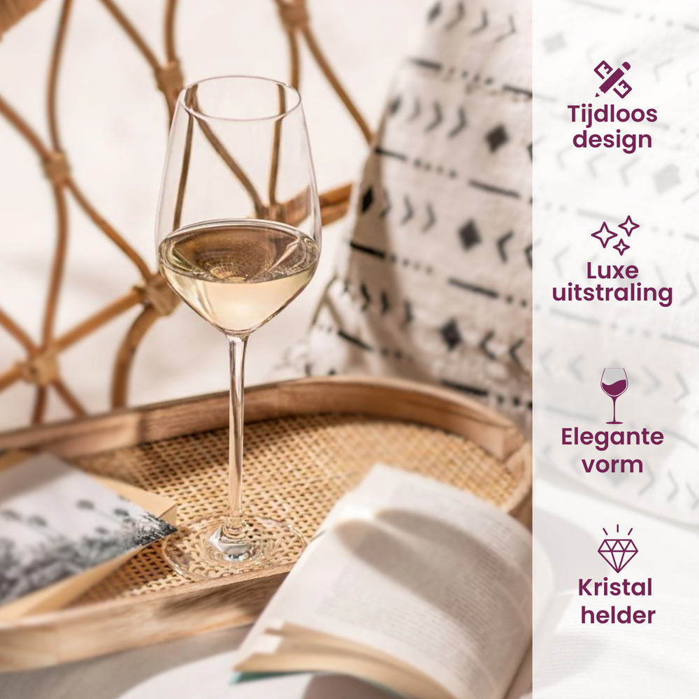 Schott Zwiesel Wine Glass Set Fortissimo 12-Piece - White Wine Glasses, Red Wine Glasses & Burgundy Glasses