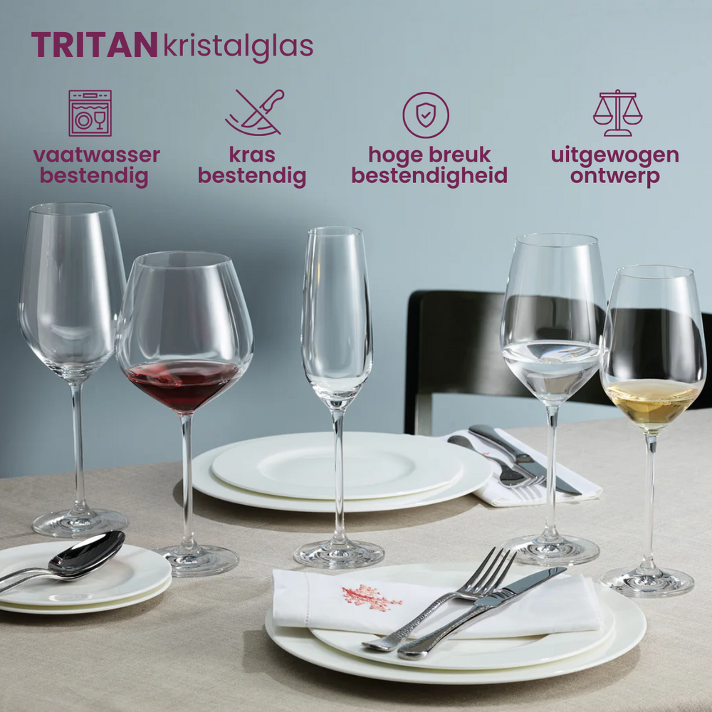 Schott Zwiesel Wine Glass Set Fortissimo 12-Piece - White Wine Glasses, Red Wine Glasses & Burgundy Glasses