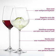 Schott Zwiesel Wine Glass Set Fortissimo 12-Piece - White Wine Glasses, Red Wine Glasses & Burgundy Glasses