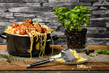 Laguiole Style de Vie Cheese slicer & grater