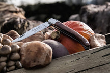 Laguiole Style de Vie Pocket knife rosewood