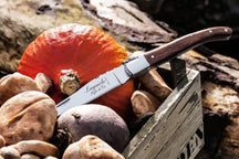 Laguiole Style de Vie Pocket knife rosewood