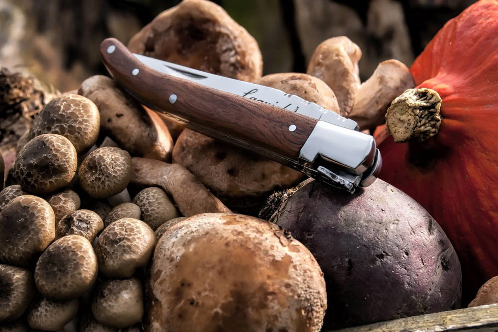 Laguiole Style de Vie Pocket knife rosewood