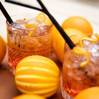 Discover the recipe & shop the right tools now 🍸