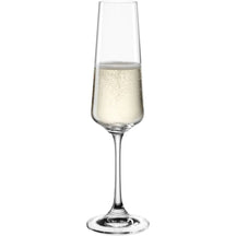 Leonardo Champagne glasses Paladino - 220 ml - 6 pieces