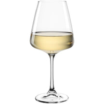 Set de copas de vino Leonardo (Copas de vino tinto + Copas de vino blanco + Copas de champán) - Paladino - Set de 12 piezas