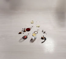 Schott Zwiesel Red, White and Champagne Glasses MioVino - 12-piece
