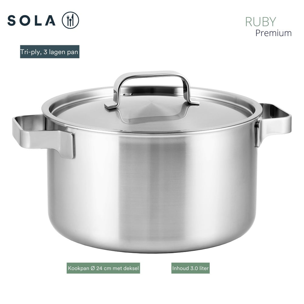 Sola Cooking pot with lid Ruby - ø 24 cm / 5.5 Liter