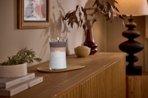 WoodWick Vela Aromática Grande Trilogy Radiant Cashmere - 18 cm / ø 10 cm - Vela Aromática en Vidrio - Mecha de Madera