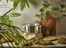 BEKA Cooking Pot with Glass Lid - Cicla - Stainless Steel - Ø 20 cm - 2.8 Liters - Suitable for all heat sources