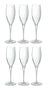 Copas de champán Bormioli Rocco - Flutes - Premium - 260 ml - 6 piezas