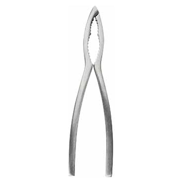 Crafts La Marée Lobster Cracker Stainless Steel - 15.7 cm