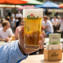 Grolsch Beer Glasses Craft - 250 ml - Set of 6