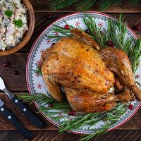 for Thanksgiving