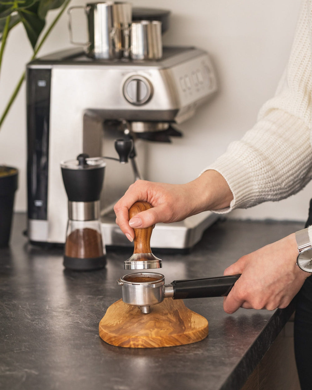 Jay Hill Coffee Barista Tamper - rosewood - ø 50.8 mm