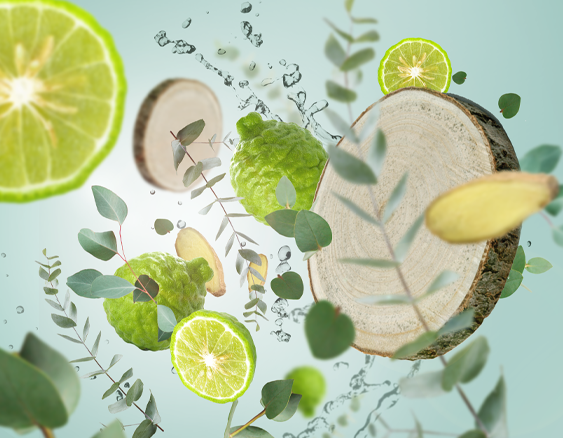 Which scent should you choose?