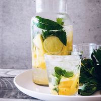 Té helado casero y refrescante sin azúcar, con limón y menta