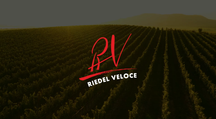 Riedel Wine Glass Set - Champagne Glasses - Veloce - 570 ml - 4 Pieces