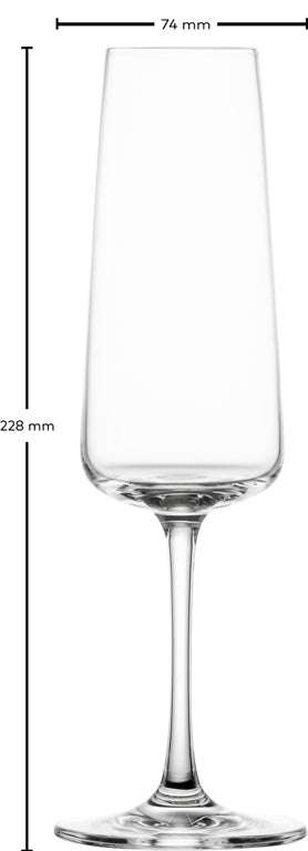 Schott Zwiesel Red, White and Champagne Glasses MioVino - 12-piece