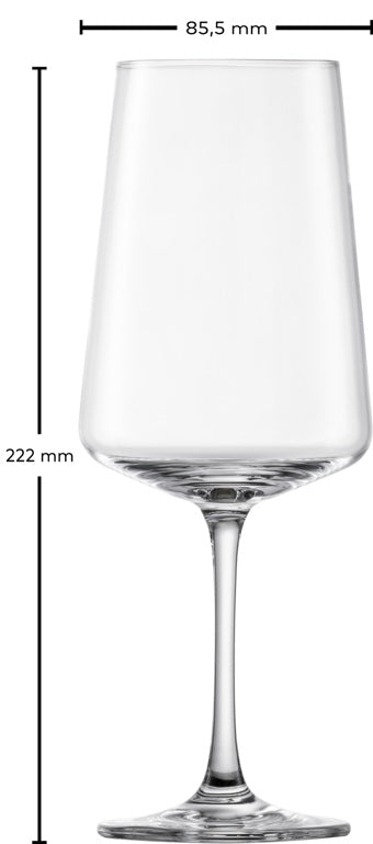 Schott Zwiesel Red, White and Champagne Glasses MioVino - 12-piece