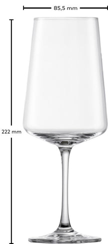 Schott Zwiesel Red, White and Champagne Glasses MioVino - 12-piece