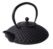 Cookinglife Teapot Arare with Stainless Steel Filter - Cast Iron Black - 1.2 Liter